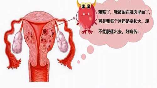 深圳有那间医院可以做人工受孕的？费用大概,深圳可以做三代试管的正规医院