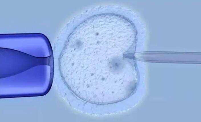 三亚借卵子怀孕 在海南三亚有做试管婴儿的医院吗? ‘8周孕囊看男女’
